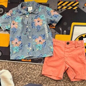OshKosh B'gosh Coral and Gray Shorts